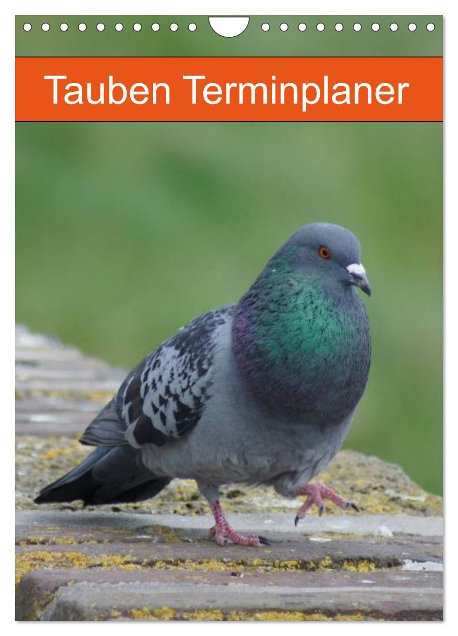 Cover: 9783457018873 | Tauben Terminplaner (Wandkalender 2025 DIN A4 hoch), CALVENDO...