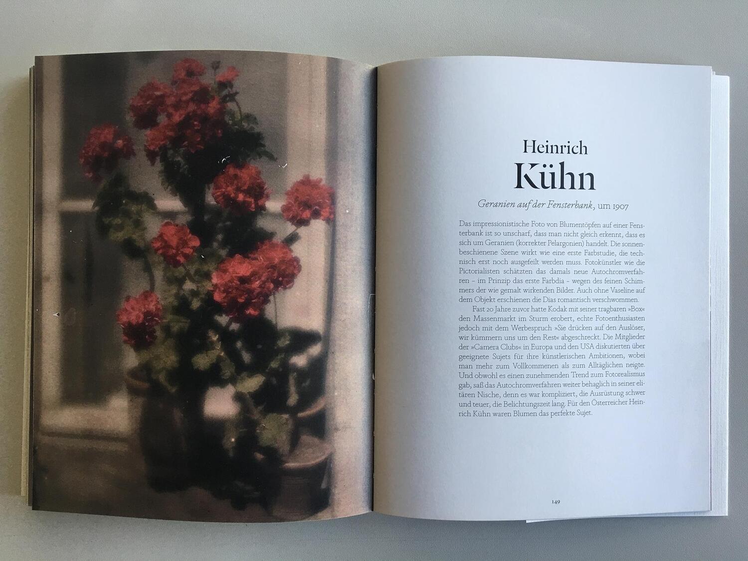 Bild: 9783832199654 | Blumen in der Kunst | Angus Hyland (u. a.) | Taschenbuch | 160 S.