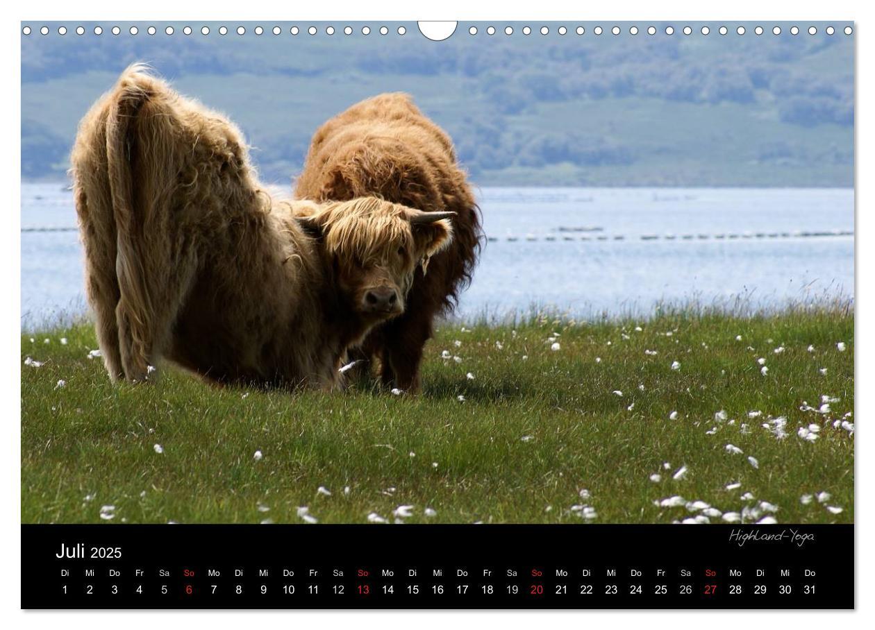 Bild: 9783435794768 | Schottland 2025 (Wandkalender 2025 DIN A3 quer), CALVENDO...