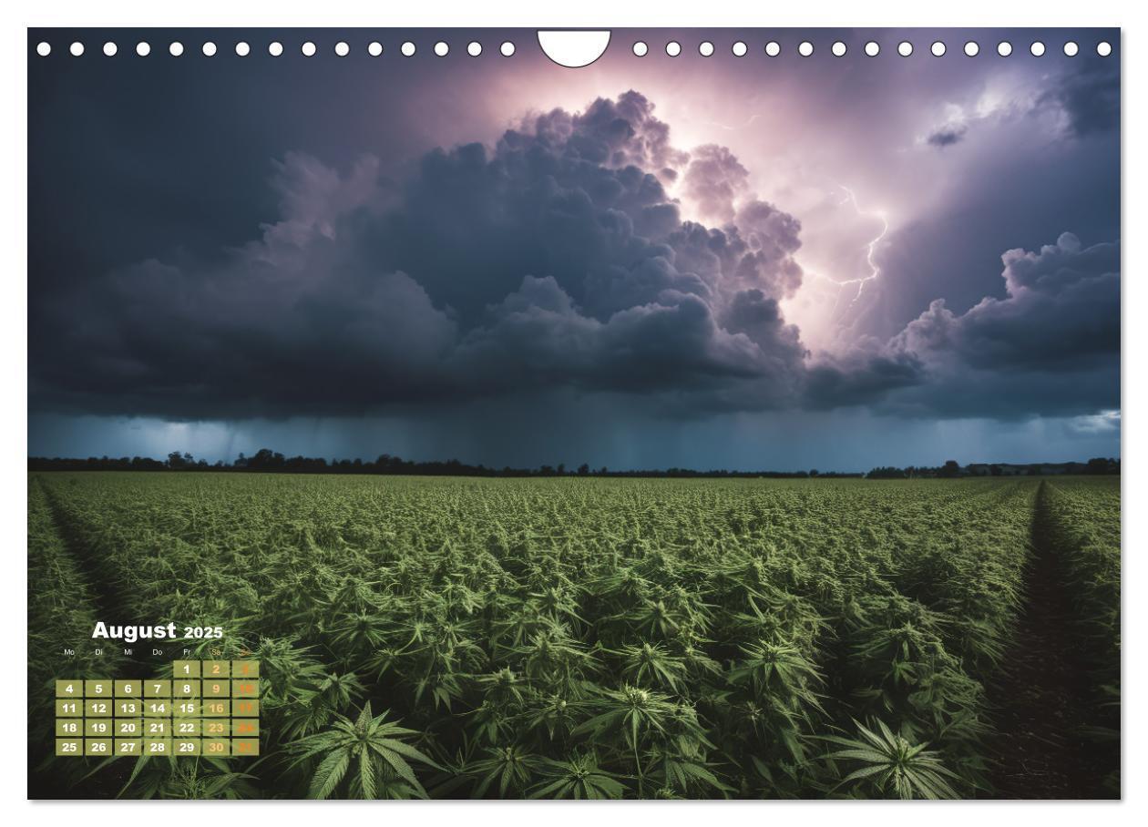 Bild: 9783383807060 | Wunderschöne Cannabisfelder (Wandkalender 2025 DIN A4 quer),...