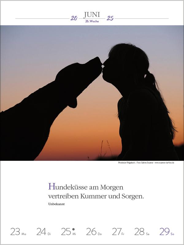 Bild: 9783731877271 | Literaturkalender Hunde 2025 | Verlag Korsch | Kalender | 54 S. | 2025