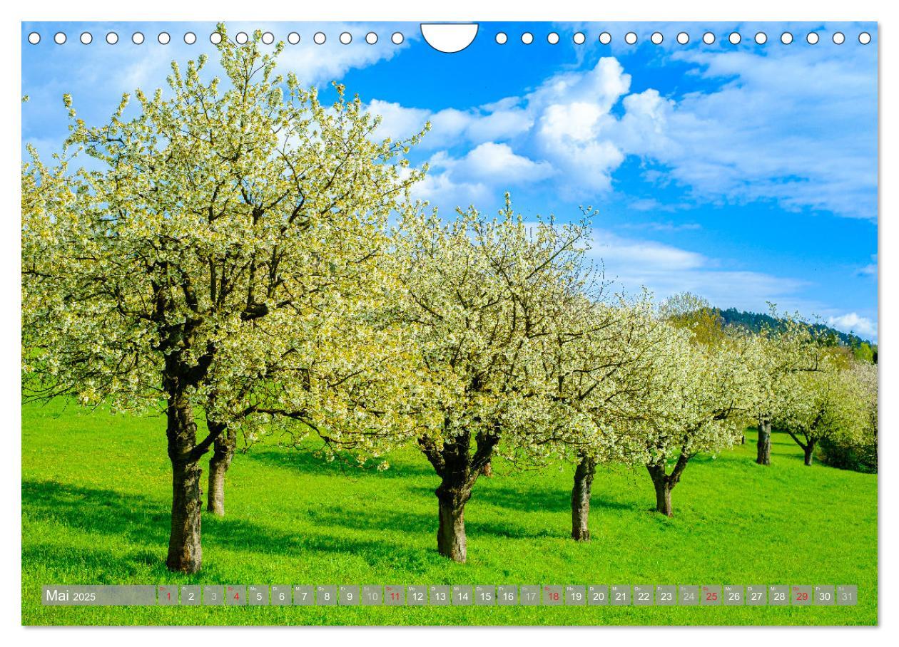 Bild: 9783435628605 | Ein Blick auf Witzenhausen (Wandkalender 2025 DIN A4 quer),...