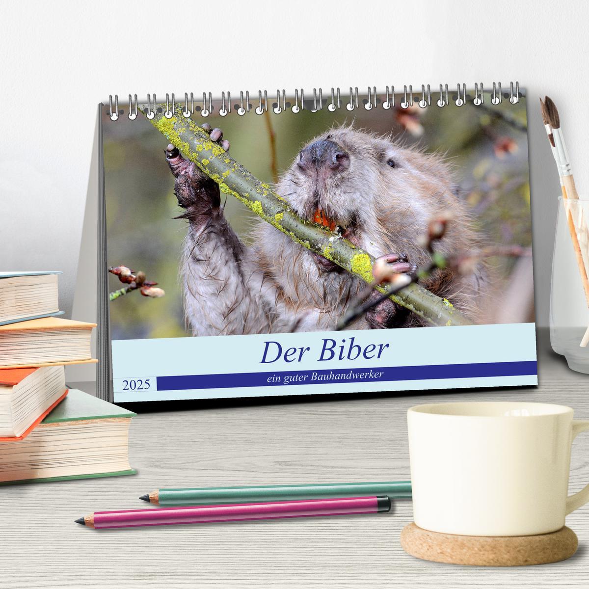 Bild: 9783435161553 | Der Biber, ein guter Bauhandwerker (Tischkalender 2025 DIN A5...