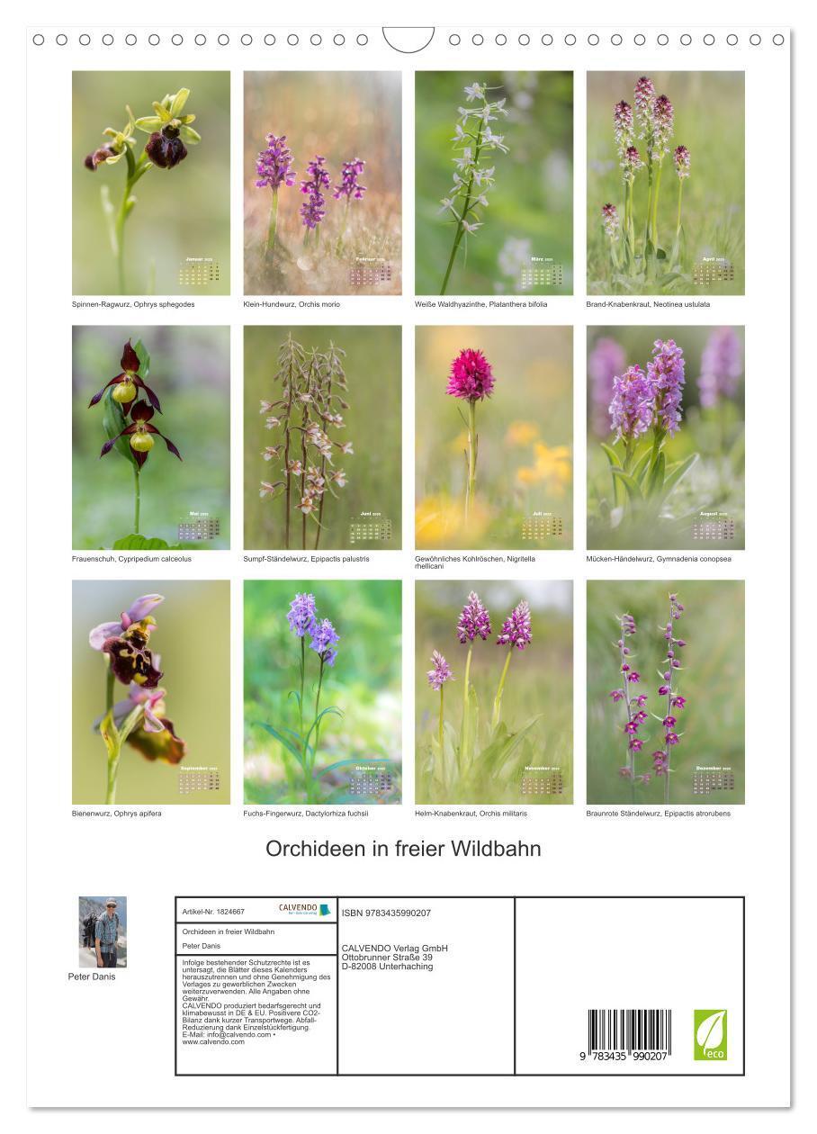 Bild: 9783435990207 | Orchideen in freier Wildbahn (Wandkalender 2025 DIN A3 hoch),...