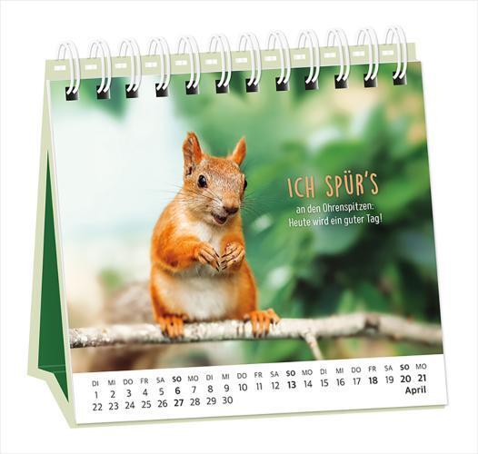 Bild: 9783986360948 | Tischkalender 2025 Happymacher | Tischkalender | Original | Kalender