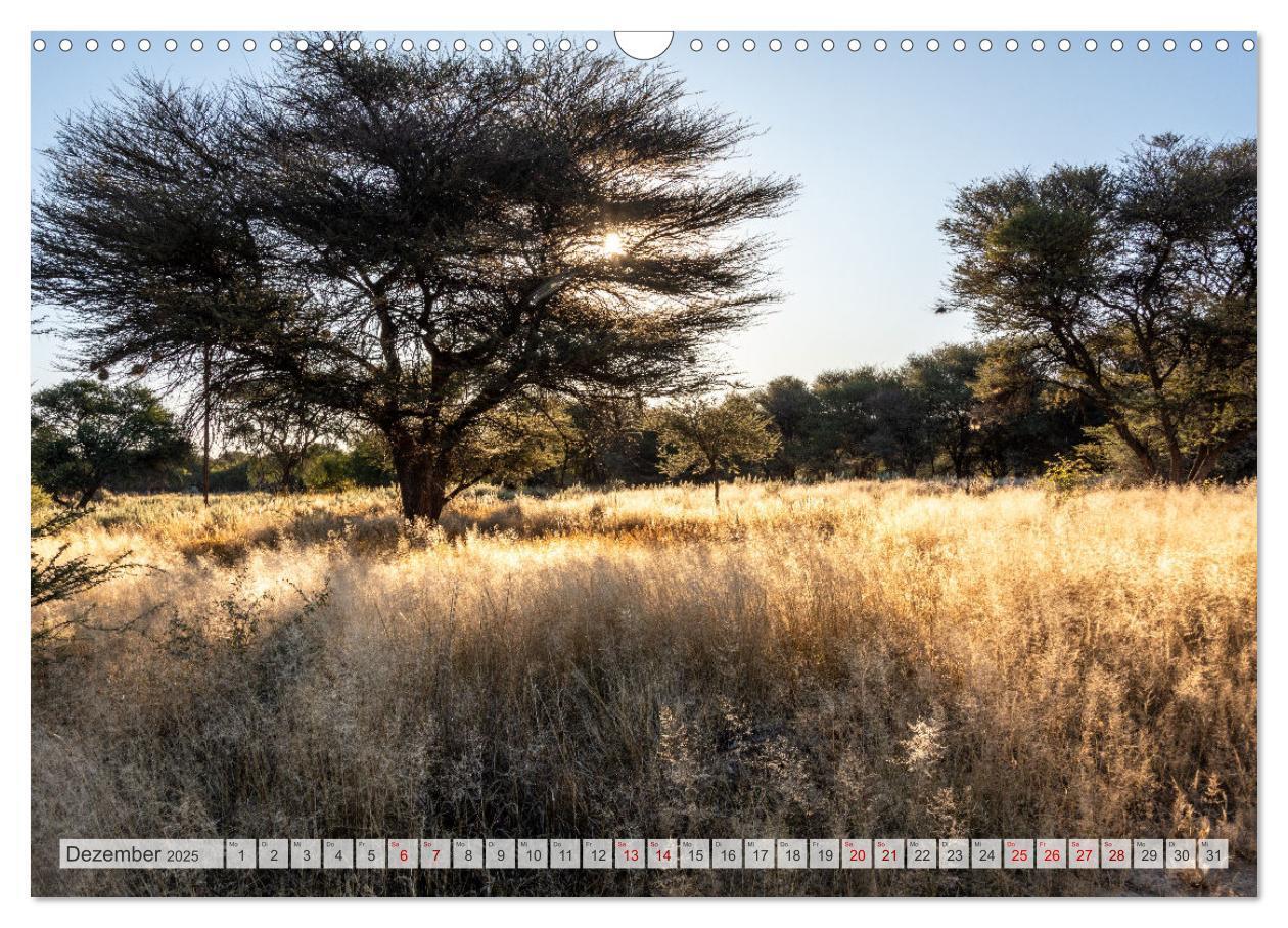 Bild: 9783383852459 | Abenteuerliches Namibia (Wandkalender 2025 DIN A3 quer), CALVENDO...