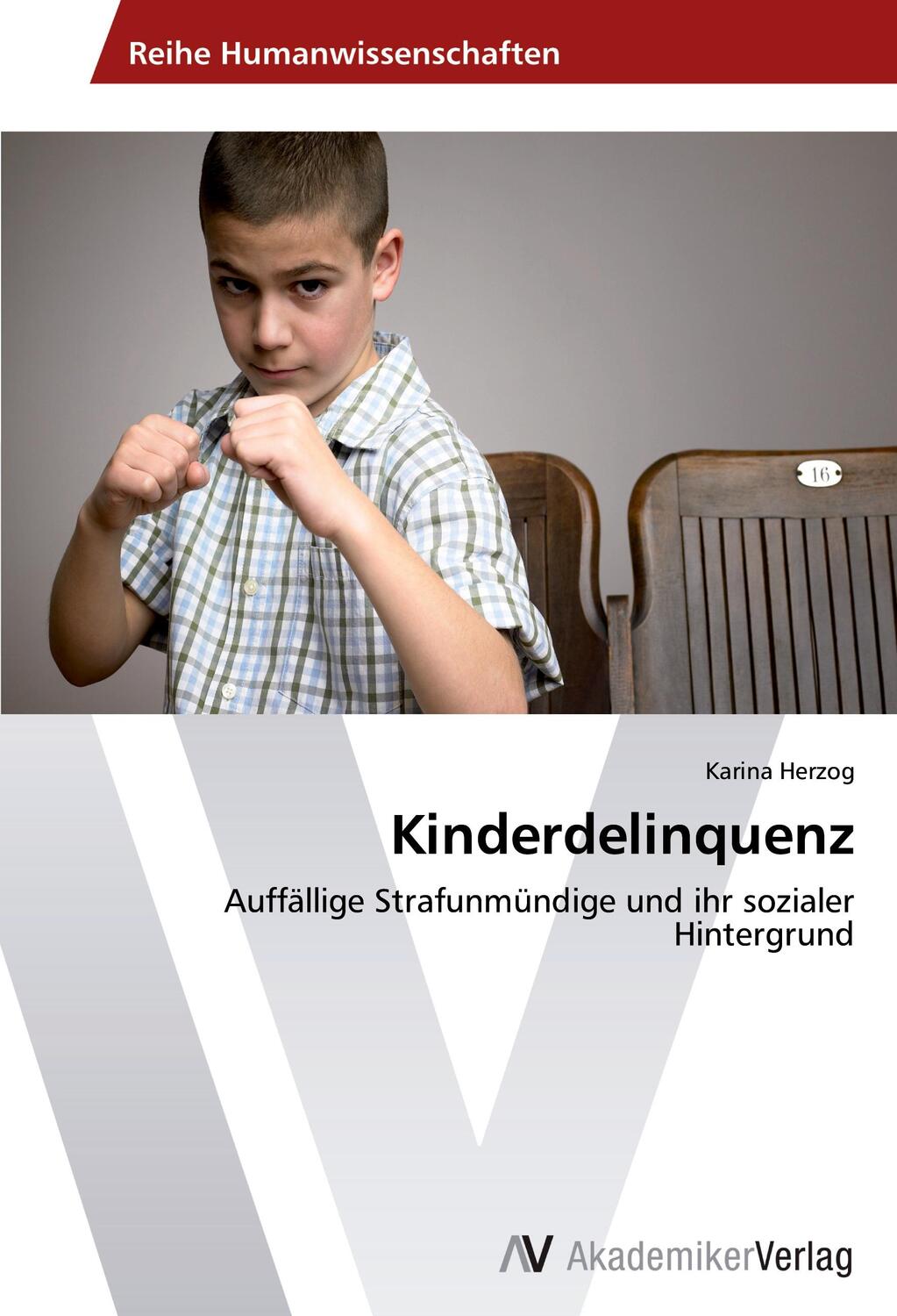 Cover: 9783639394740 | Kinderdelinquenz | Karina Herzog | Taschenbuch | Paperback | 60 S.
