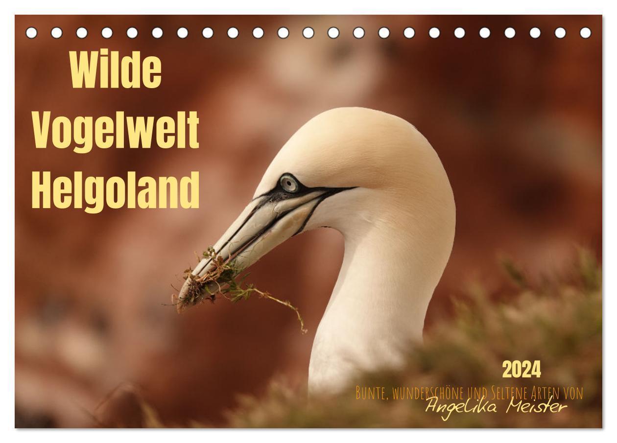 Cover: 9783675782006 | Wilde Vogelwelt Helgoland (Tischkalender 2024 DIN A5 quer),...