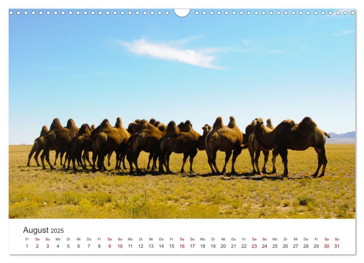 Bild: 9783435006724 | Mongolei - Endlose Steppe und wilde Natur. (Wandkalender 2025 DIN...