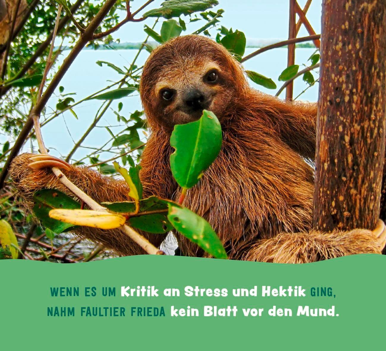 Bild: 9783848502813 | Tierisch gechillt! | Paulus Vennebusch | Taschenbuch | 52 S. | Deutsch