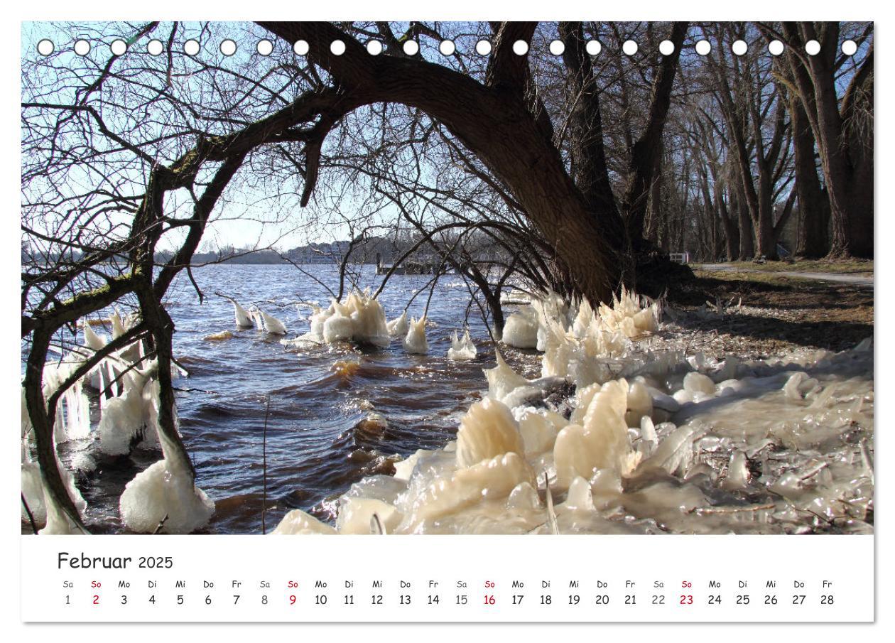 Bild: 9783435077489 | Zauberhaftes Ammerland (Tischkalender 2025 DIN A5 quer), CALVENDO...