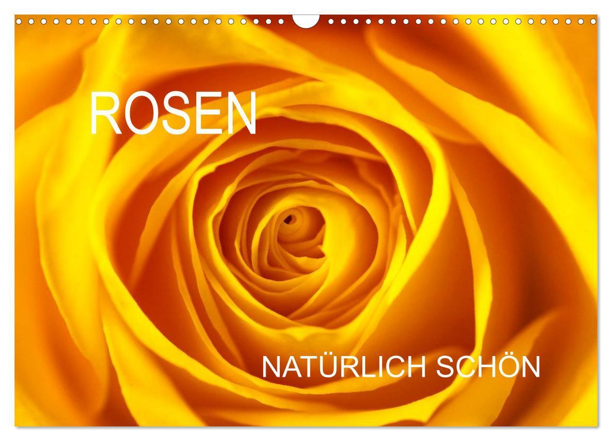 Cover: 9783383441806 | Rosen natürlich schön (Wandkalender 2024 DIN A3 quer), CALVENDO...