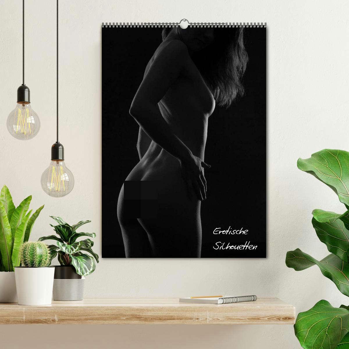 Bild: 9783457080450 | Erotische Silhouetten / CH-Version (Wandkalender 2025 DIN A2 hoch),...