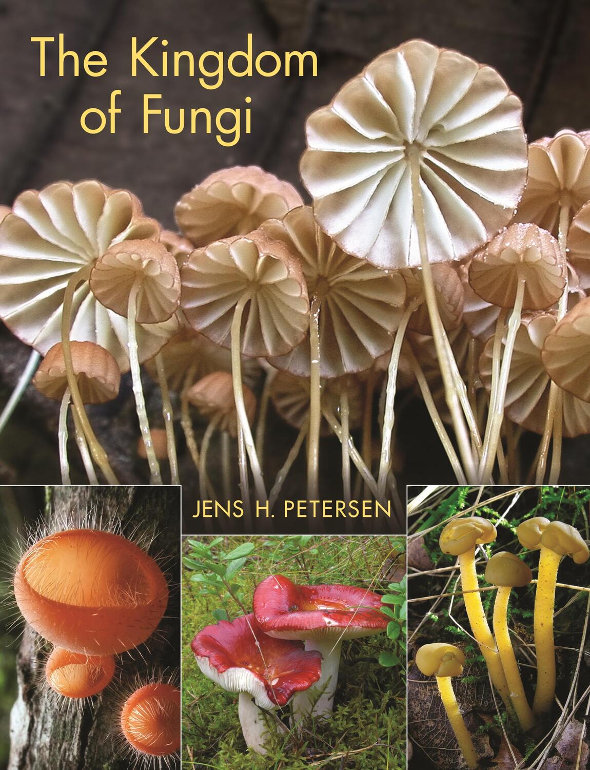 Cover: 9780691157542 | The Kingdom of Fungi | Jens H. Petersen | Buch | Gebunden | Englisch