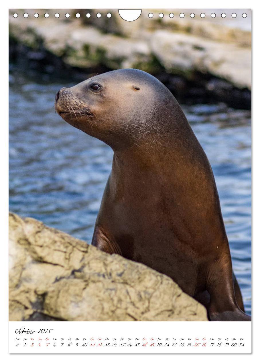 Bild: 9783435968855 | Tierwelten - aus dem ältesten Tiergarten der Welt (Wandkalender...