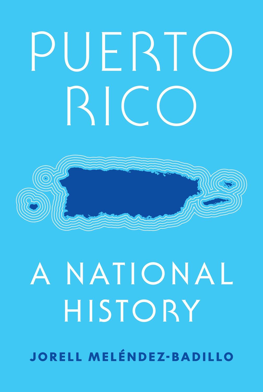 Cover: 9780691231273 | Puerto Rico | A National History | Jorell Meléndez-Badillo | Buch