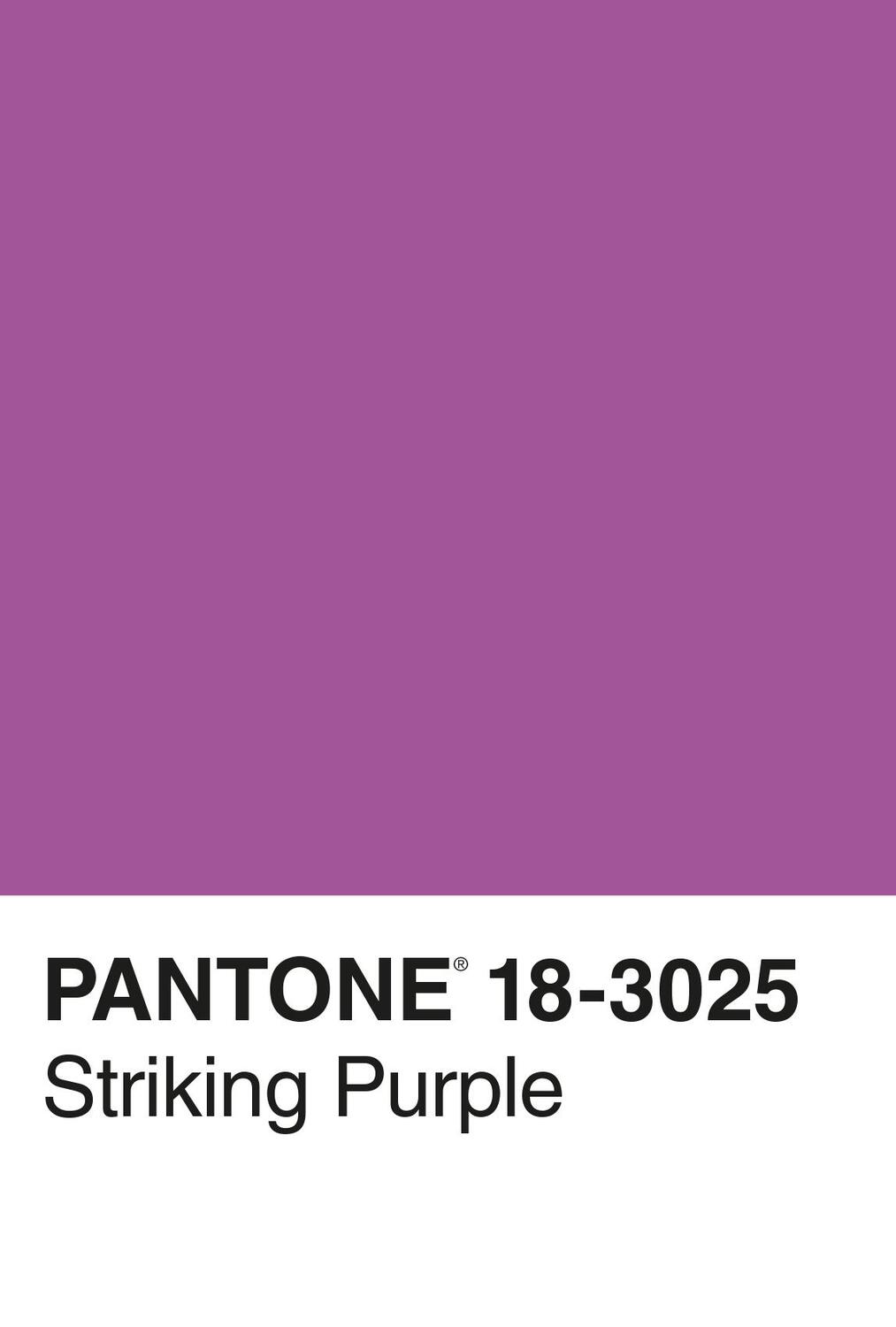 Bild: 9783832199517 | Pantone | 100 Postkarten | Pantone | Taschenbuch | 100 S. | Deutsch