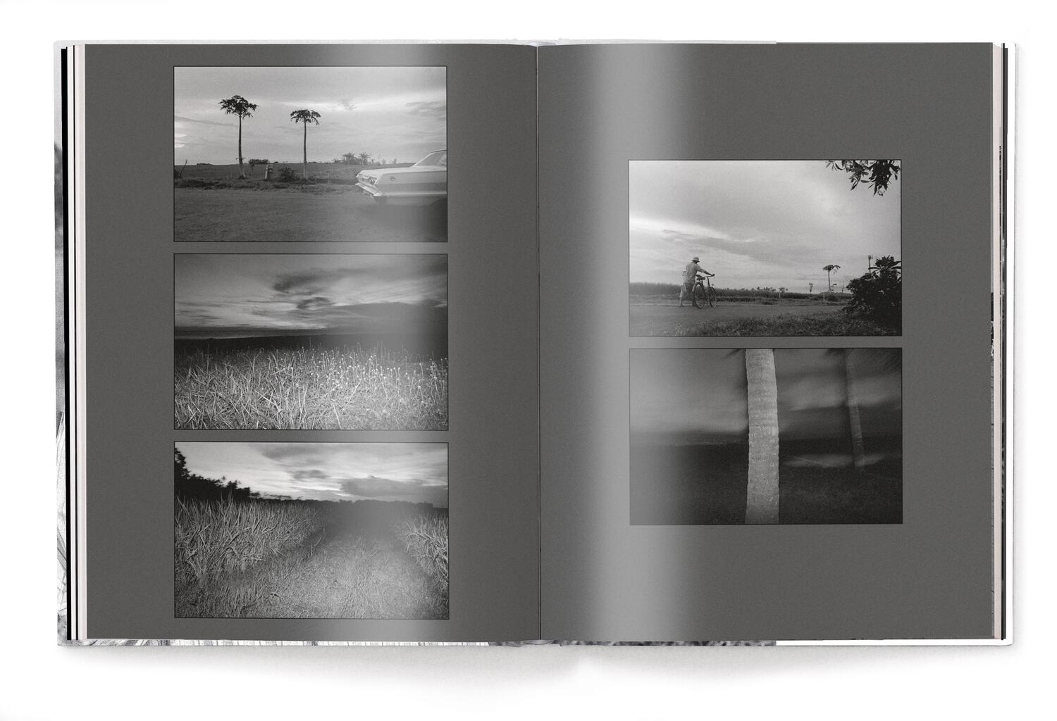 Bild: 9783961714582 | A Series of Glances | Andy Summers | Buch | 324 S. | Englisch | 2023