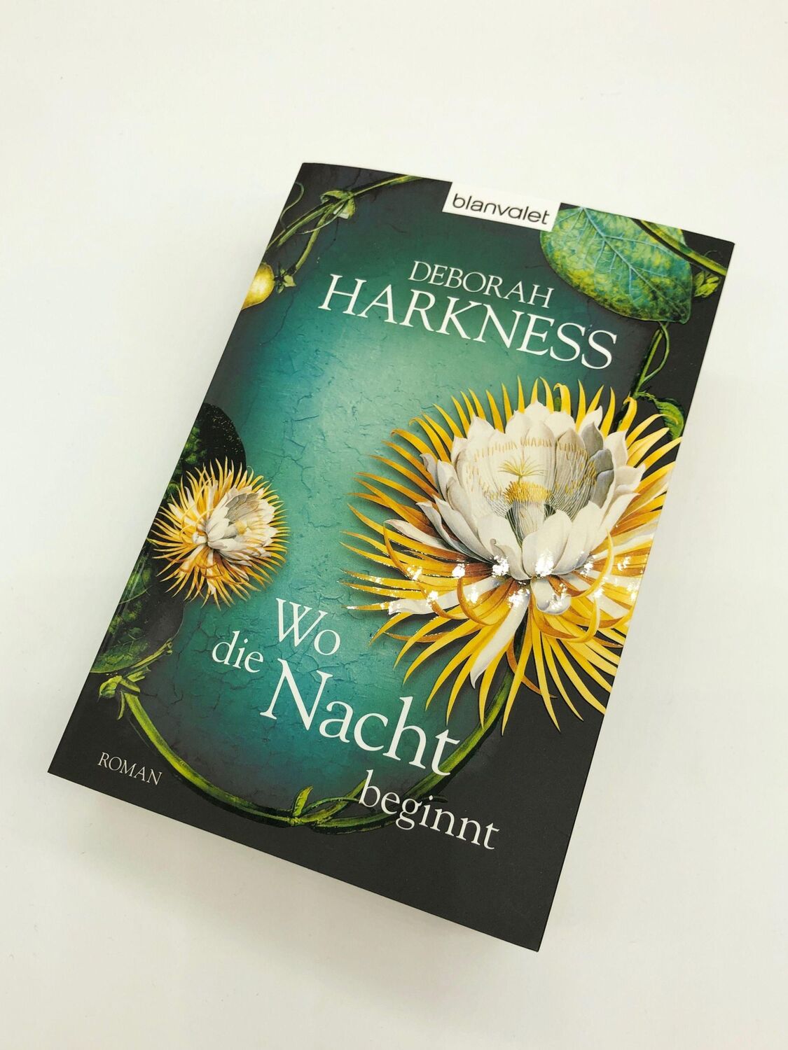 Bild: 9783442381388 | Wo die Nacht beginnt | Deborah Harkness | Taschenbuch | 796 S. | 2014