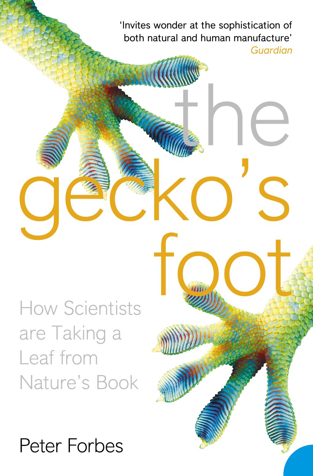 Cover: 9780007179893 | The Gecko's Foot | How Scientists are Taking a Leaf from Nature's Book