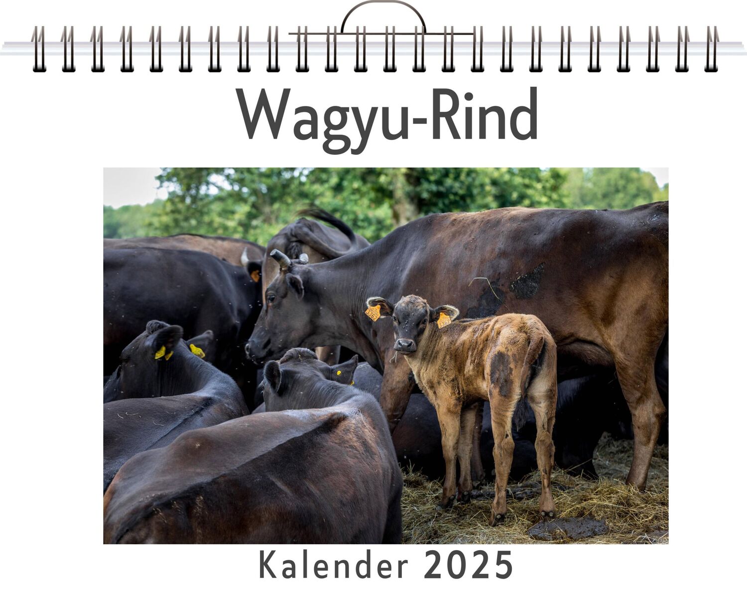 Cover: 9783759131003 | Wagyu-Rind | Zoe Hoffmann | Kalender | Kalender | 14 S. | Deutsch