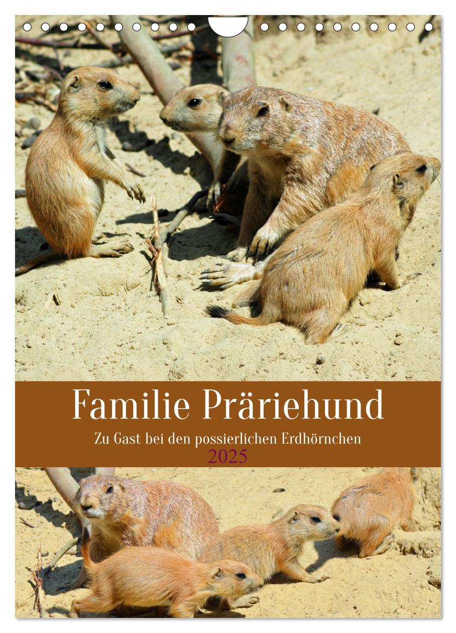 Cover: 9783435898114 | Familie Präriehund (Wandkalender 2025 DIN A4 hoch), CALVENDO...