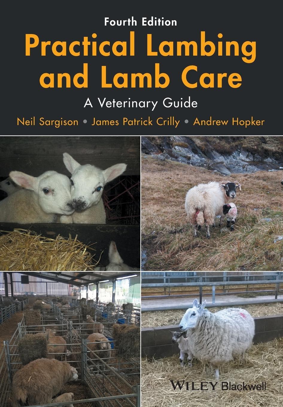 Cover: 9781119140665 | Practical Lambing and Lamb Care | A Veterinary Guide | Taschenbuch