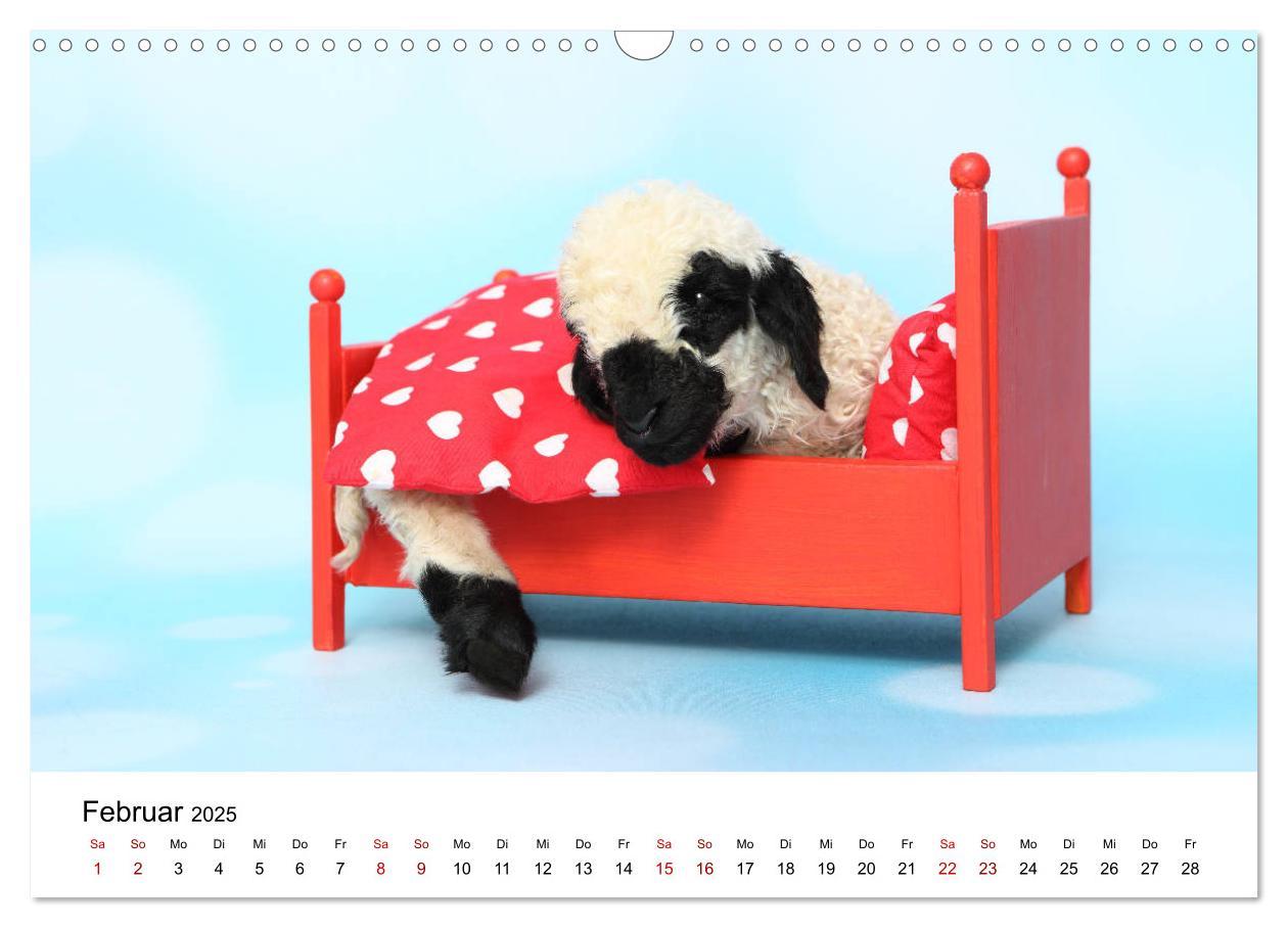 Bild: 9783435327034 | Walliser Schwarznasenschaf Valais Blacknose Sheep (Wandkalender...