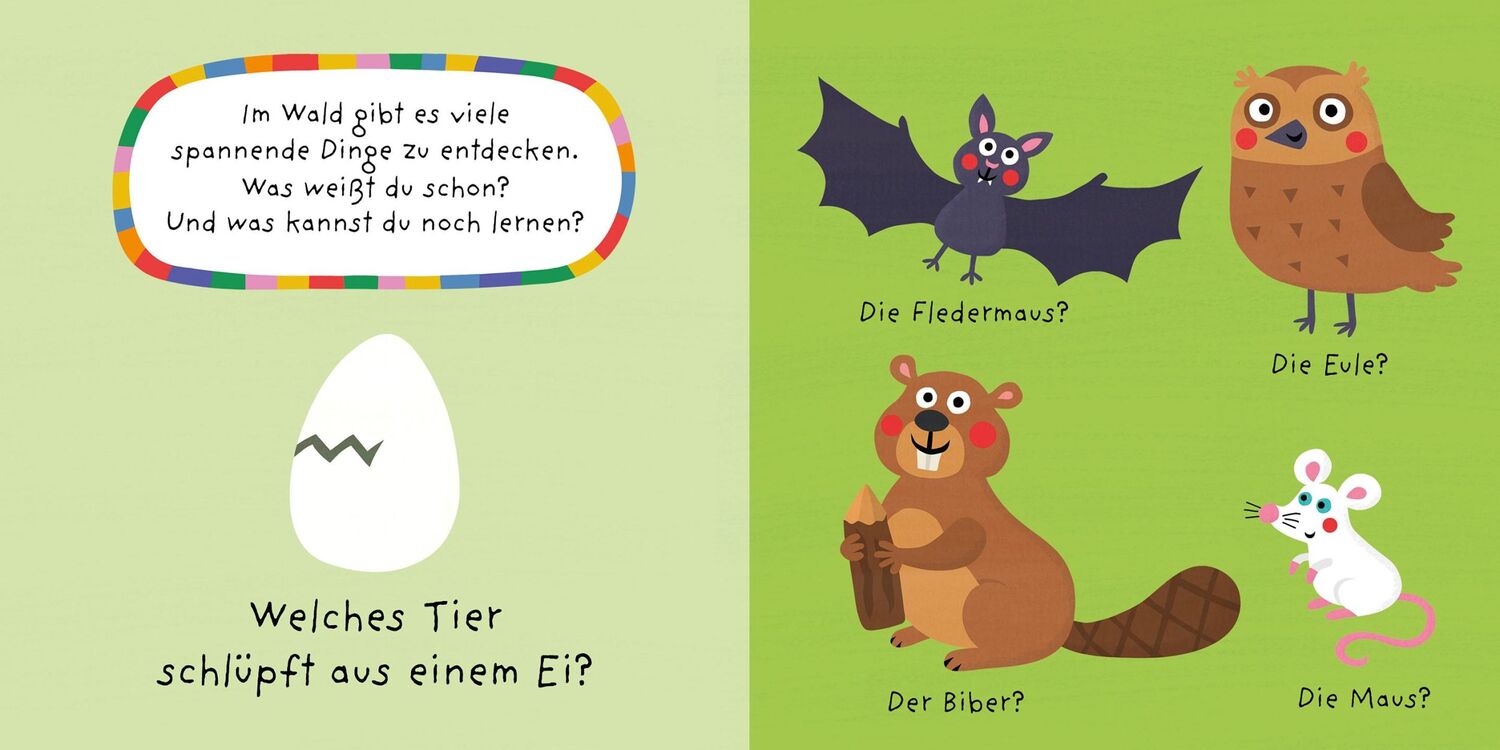 Bild: 9783734815553 | Mein buntes Quiz - Der Wald | Nastja Holtfreter | Buch | 16 S. | 2022