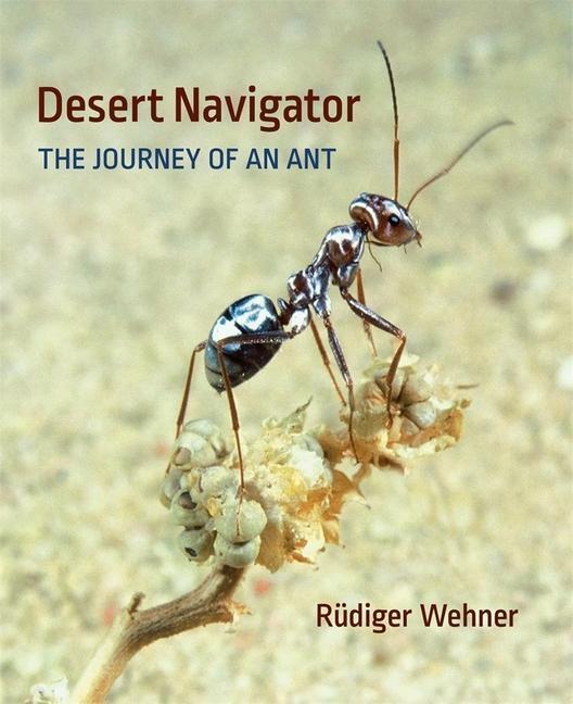 Cover: 9780674045880 | Desert Navigator | The Journey of an Ant | Rudiger Wehner | Buch