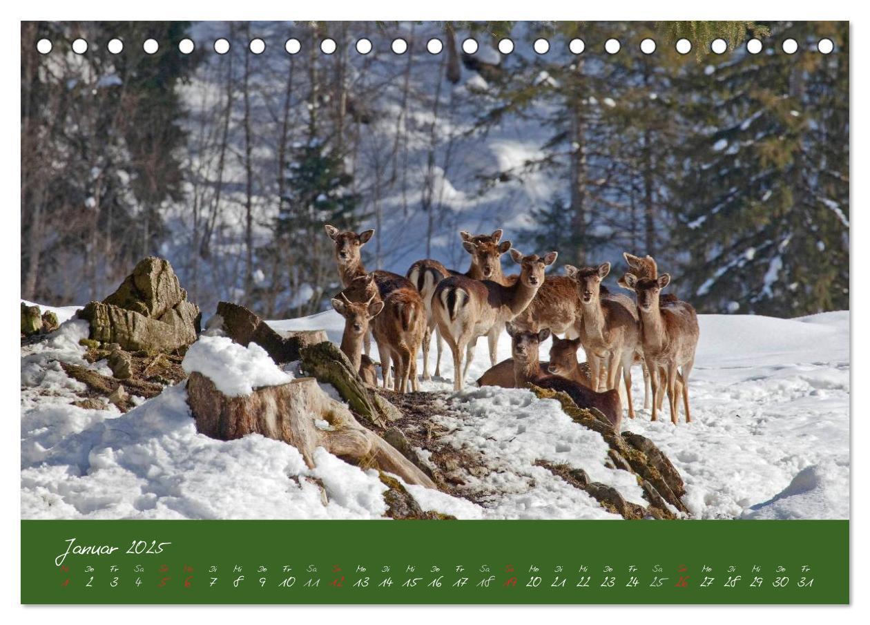 Bild: 9783435565764 | Waidmannsheil und Waidmannsdank (Tischkalender 2025 DIN A5 quer),...