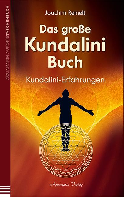 Cover: 9783894276294 | Das große Kundalini-Buch | Kundalini-Erfahrungen | Joachim Reinelt