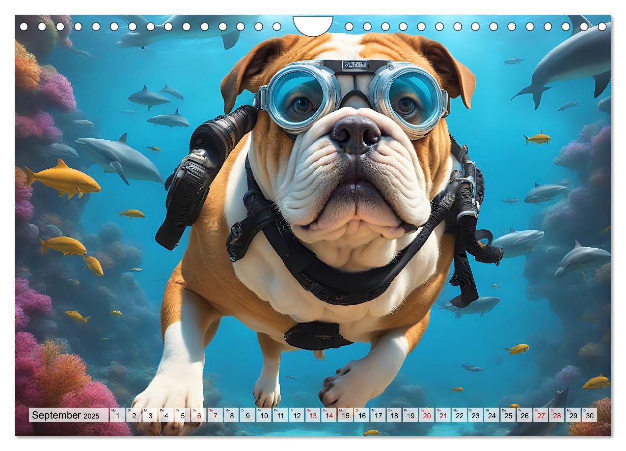 Bild: 9783383845116 | Hunde abgetaucht (Wandkalender 2025 DIN A4 quer), CALVENDO...