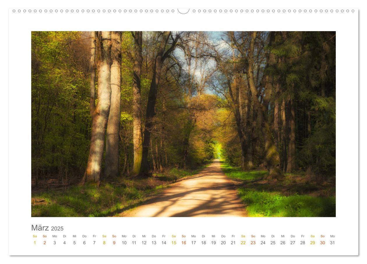 Bild: 9783435411092 | Im Märchenwald des Untertaunus (hochwertiger Premium Wandkalender...