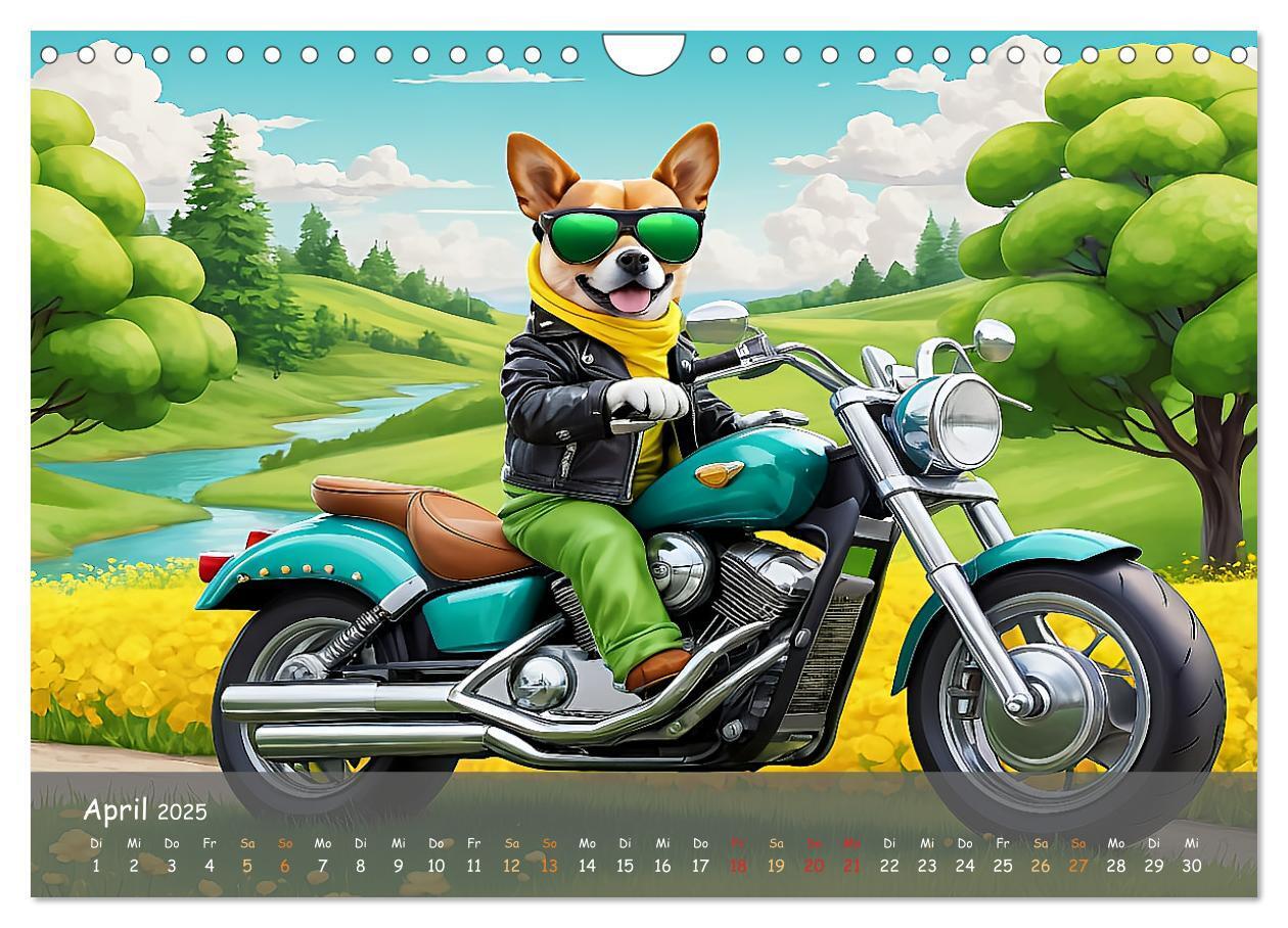 Bild: 9783457131404 | Tierische Motorradfahrer (Wandkalender 2025 DIN A4 quer), CALVENDO...