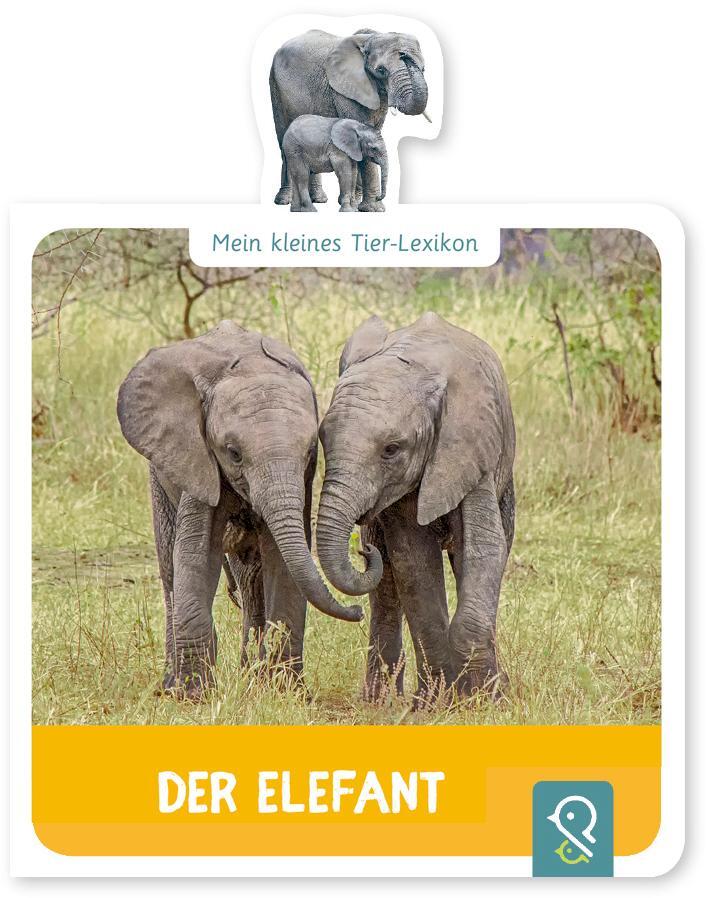 Cover: 9783946360124 | Mein kleines Tier-Lexikon - Der Elefant | Hannah Kastenhuber | Buch