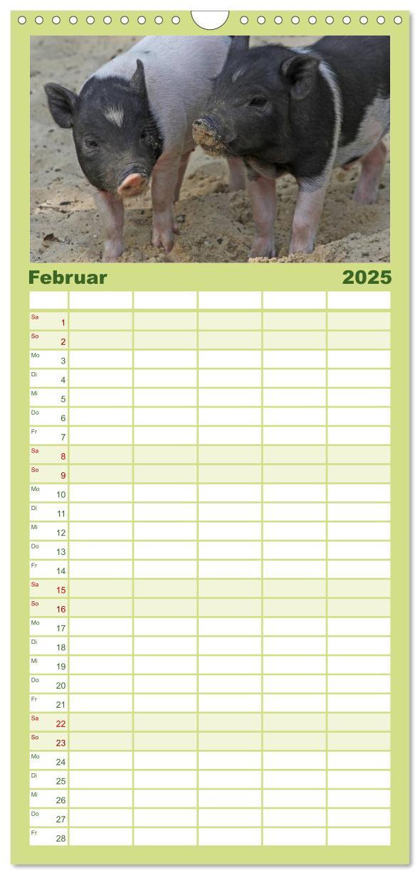 Bild: 9783457124741 | Familienplaner 2025 - Schwein gehabt! mit 5 Spalten (Wandkalender,...