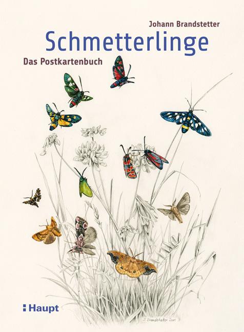 Cover: 9783258081441 | Schmetterlinge - Das Postkartenbuch | Johann Brandstetter | Stück