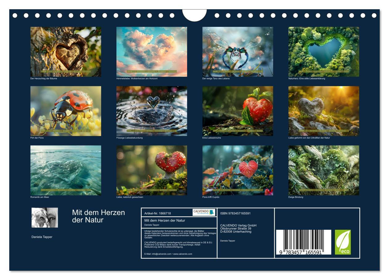 Bild: 9783457165591 | Mit dem Herzen der Natur (Wandkalender 2025 DIN A4 quer), CALVENDO...