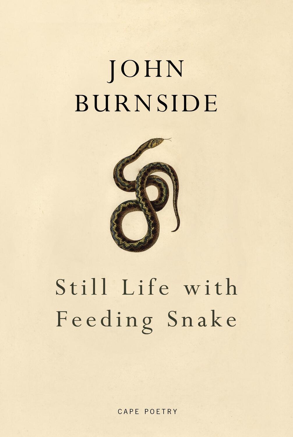 Cover: 9781910702413 | Still Life with Feeding Snake | John Burnside | Taschenbuch | Englisch