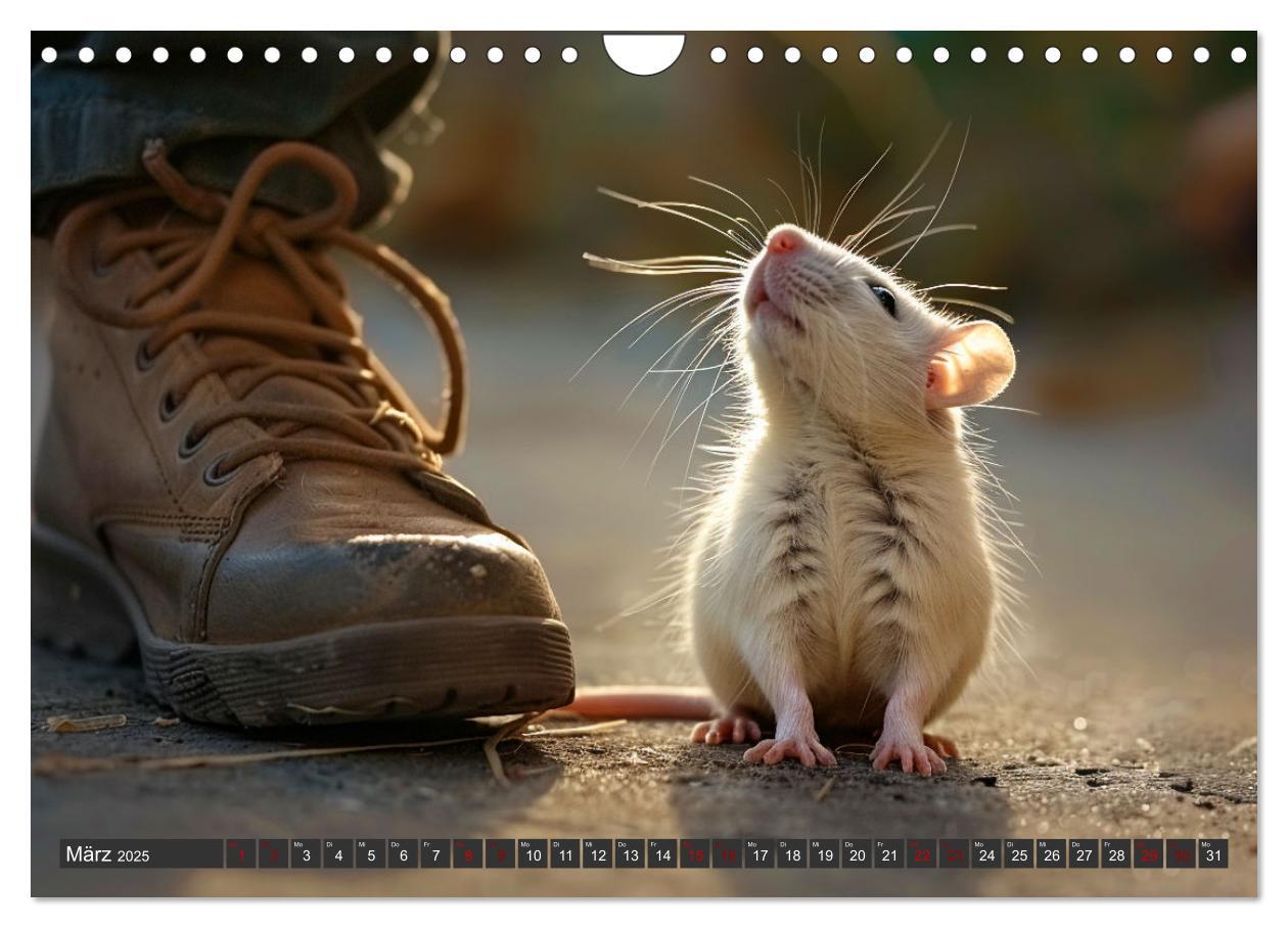 Bild: 9783383813832 | Mein bester Kumpel ist eine Ratte (Wandkalender 2025 DIN A4 quer),...