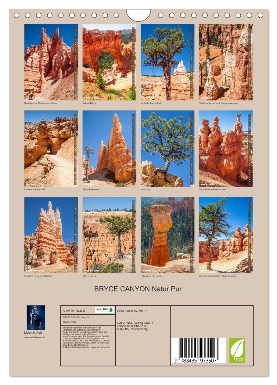 Bild: 9783435973507 | BRYCE CANYON Natur Pur (Wandkalender 2025 DIN A4 hoch), CALVENDO...