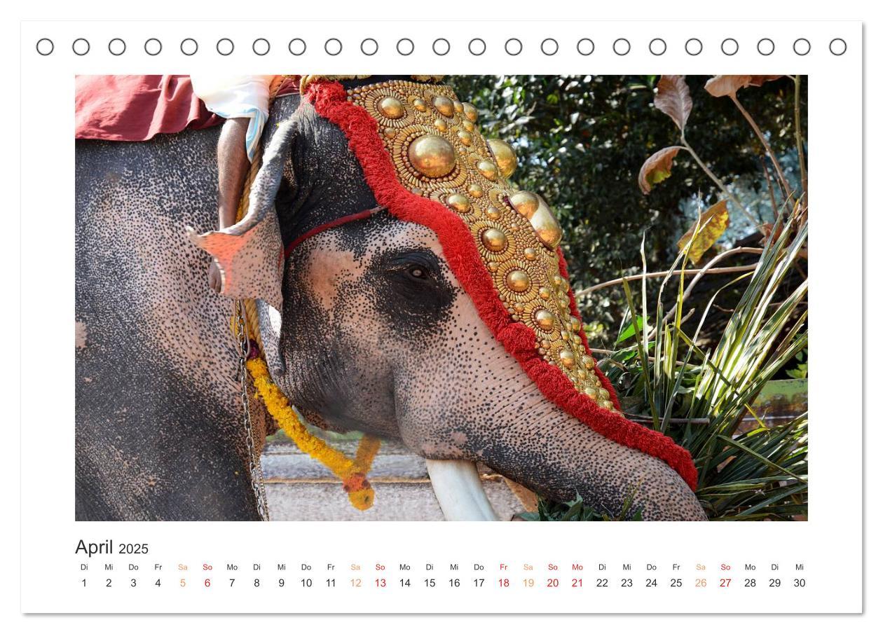 Bild: 9783435732524 | Kerala - Im Süden Indiens (Tischkalender 2025 DIN A5 quer),...