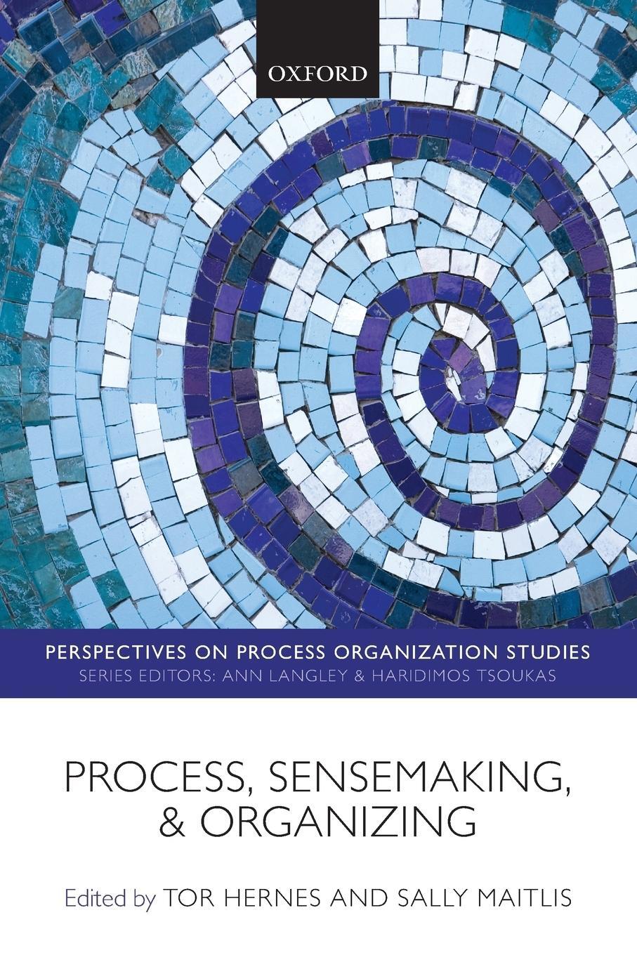 Cover: 9780199655564 | Process, Sensemaking, and Organizing | Sally Maitlis | Taschenbuch