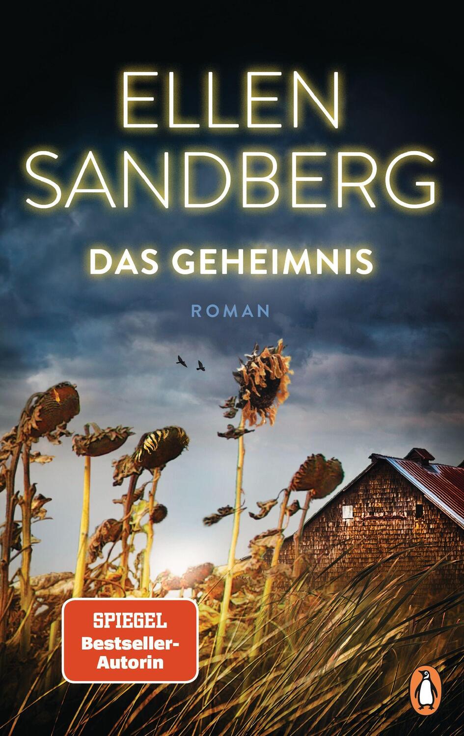 Cover: 9783328601968 | Das Geheimnis | Ellen Sandberg | Buch | 432 S. | Deutsch | 2021