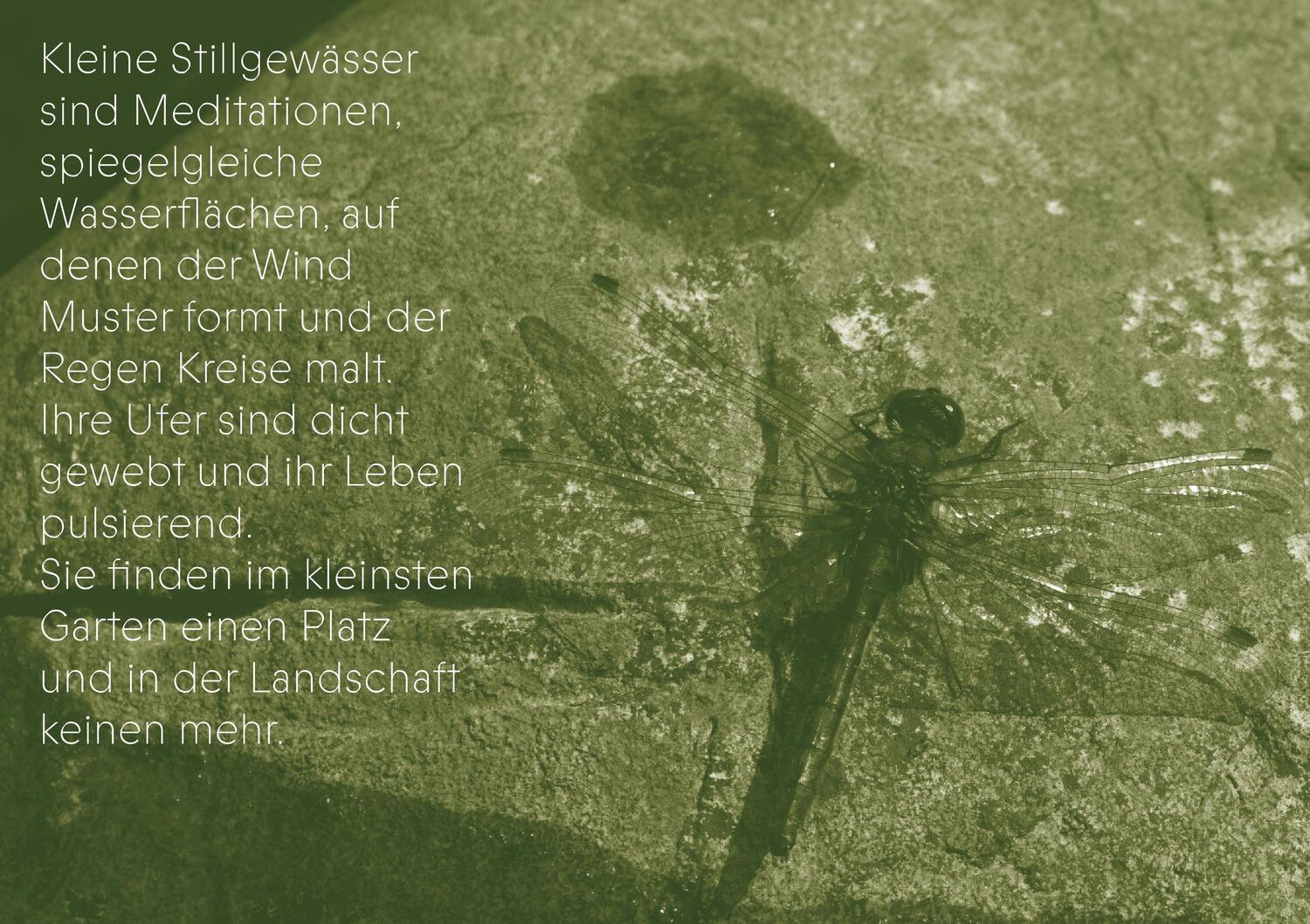 Bild: 9783702511227 | Die Gaben des Wassers | Karin Hochegger | Buch | 256 S. | Deutsch