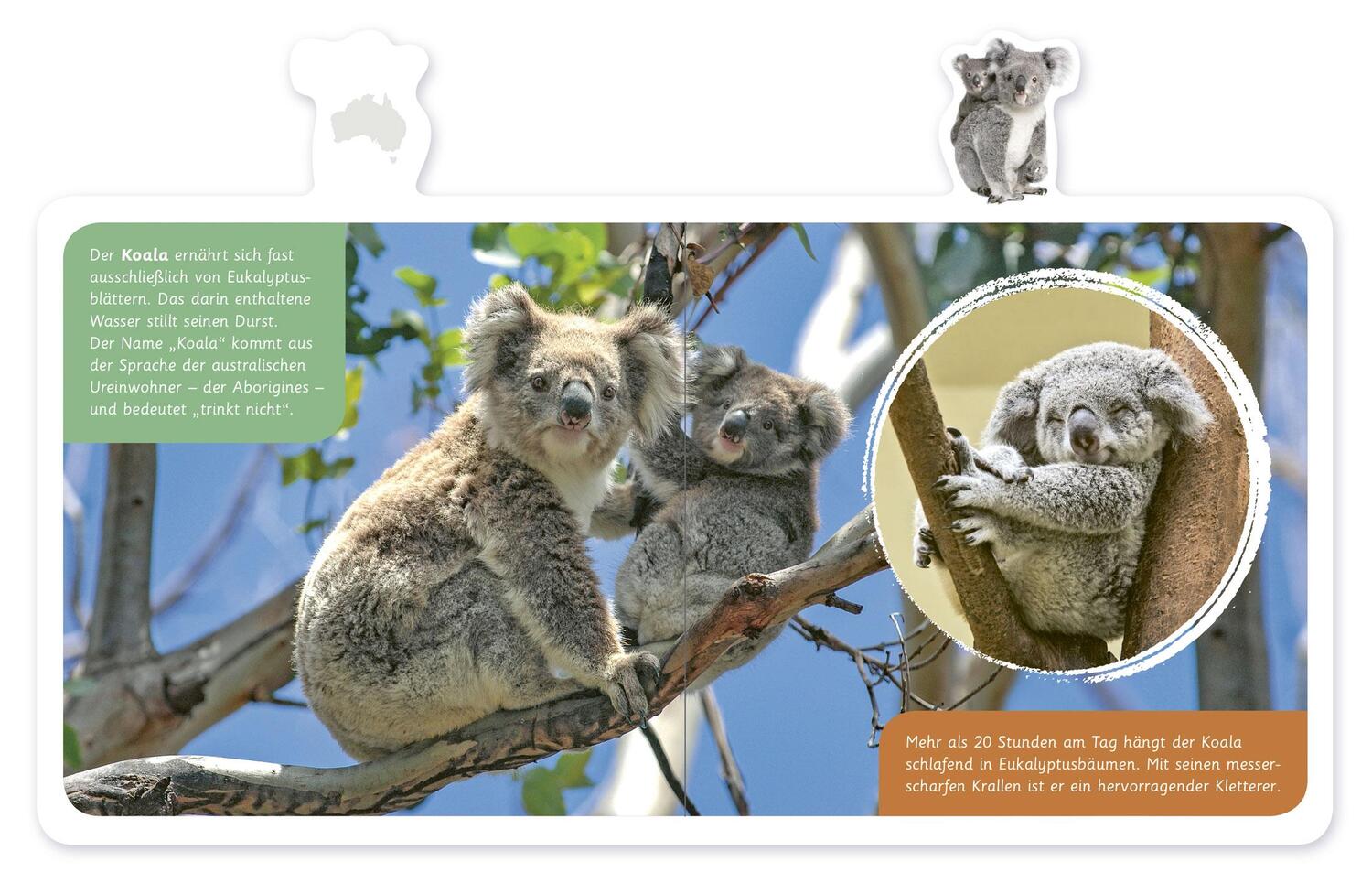 Bild: 9783946360520 | Mein kleines Tier-Lexikon - Tiere in Australien | Buch | Deutsch