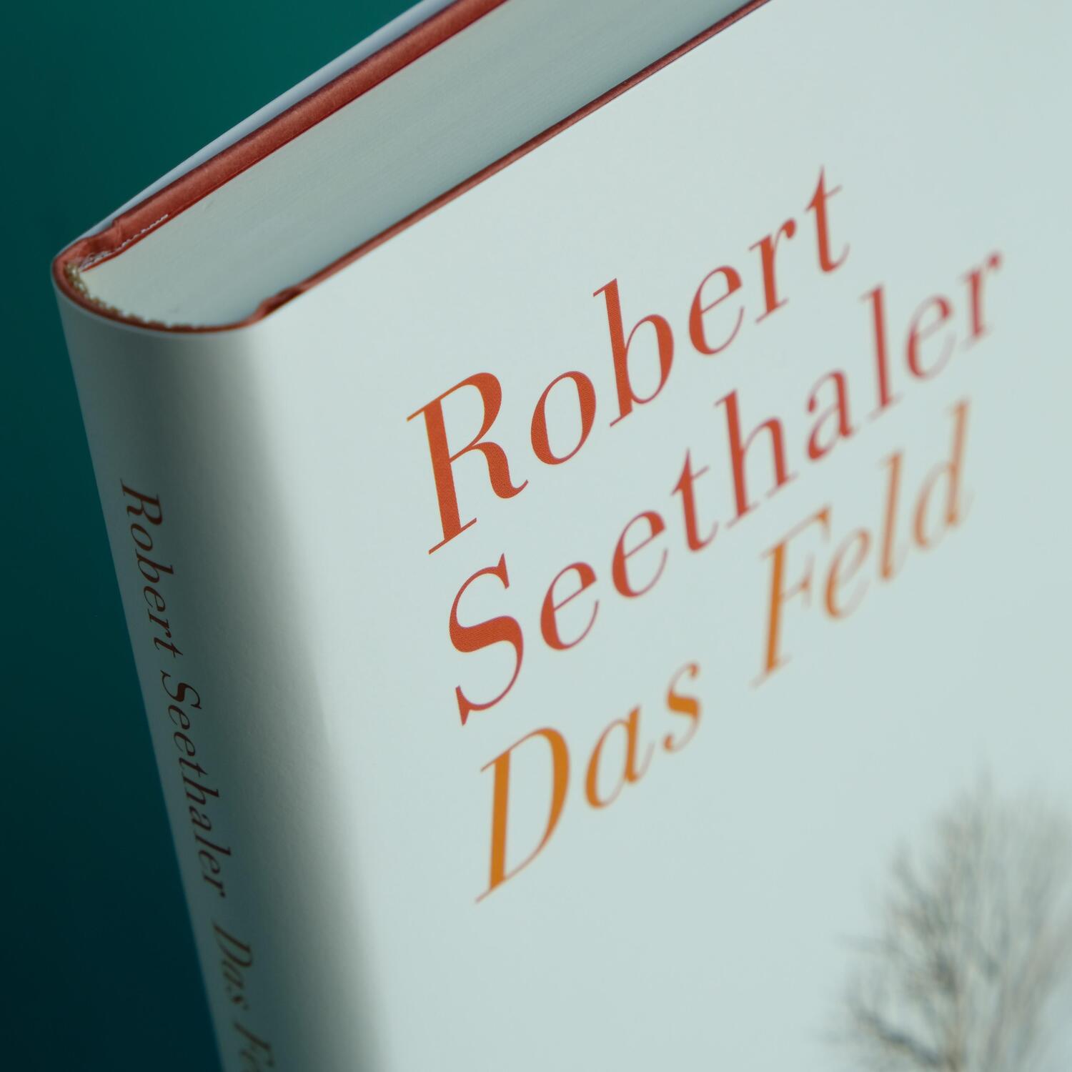 Bild: 9783446260382 | Das Feld | Robert Seethaler | Buch | Deutsch | 2018 | Hanser Berlin
