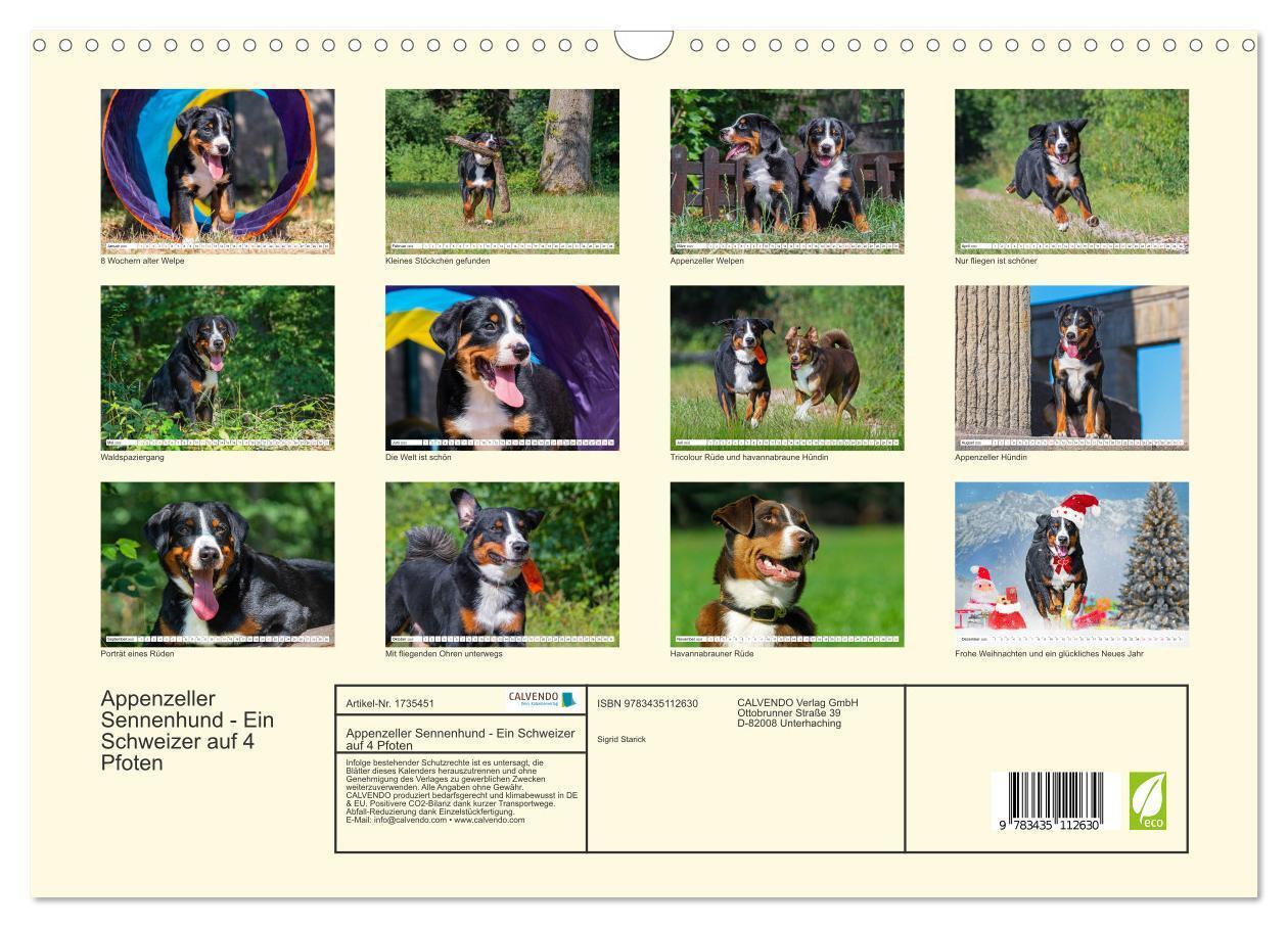 Bild: 9783435112630 | Appenzeller Sennenhund - Ein Schweizer auf 4 Pfoten (Wandkalender...