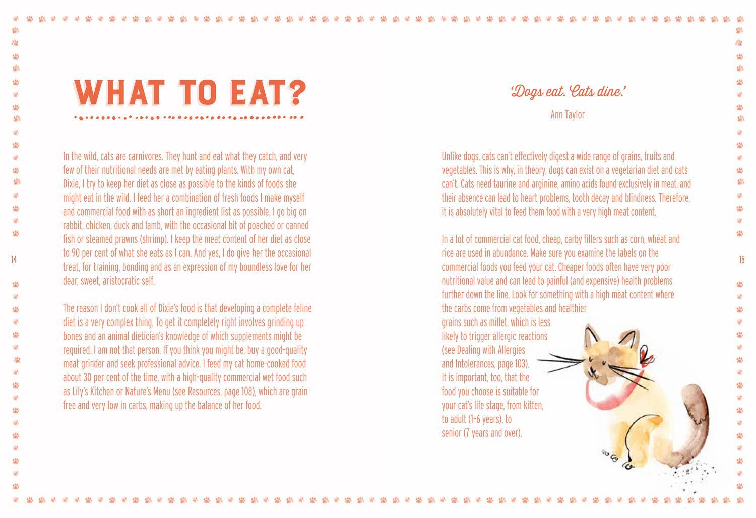 Bild: 9781911624677 | Cooking for Cats | The Healthy, Happy Way to Feed Your Cat | Robertson